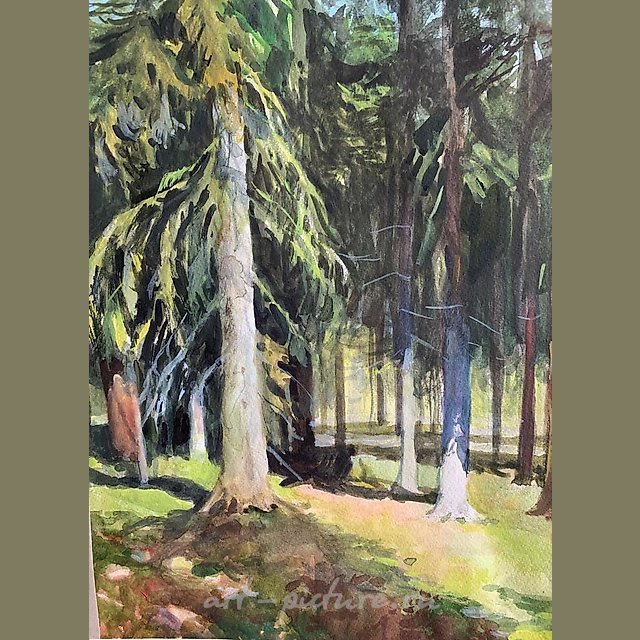 Летний лес