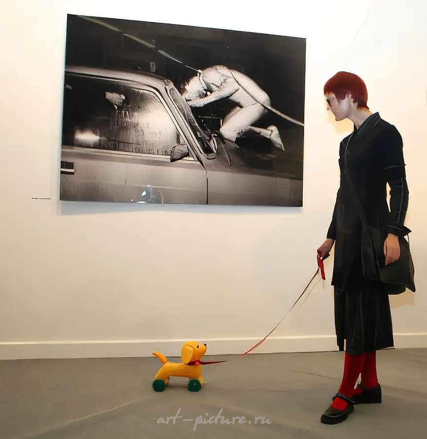 带小狗的女士,2008年,行动