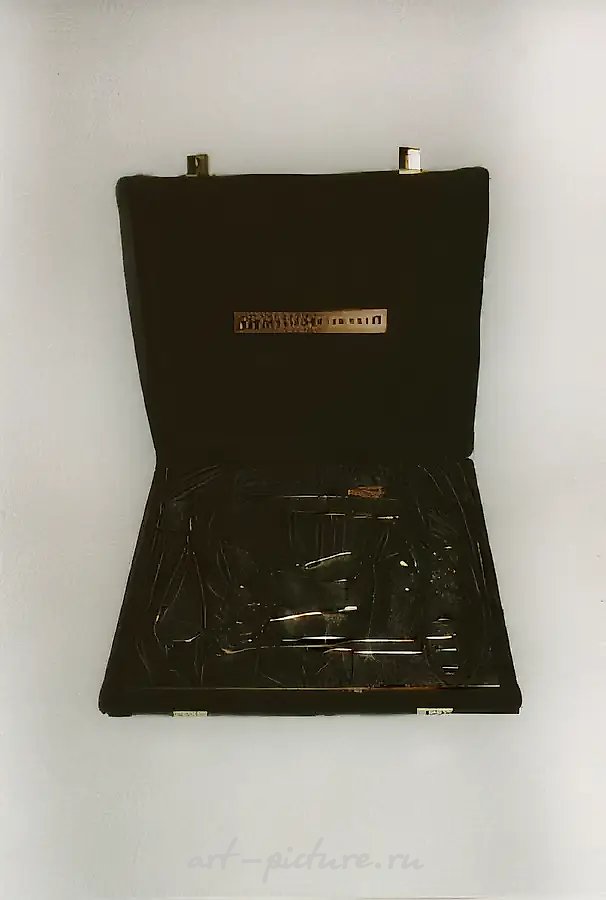 Хирургические инструменты, 1993, Коробка, стальные хирургические инструменты, 40х30х7 см Собственность автора