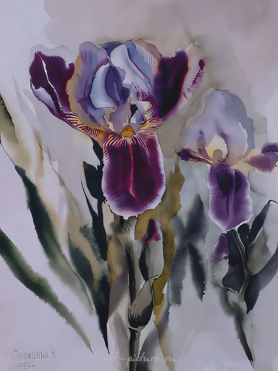 Ирисы., 1989, бумага, акварель, 40х30