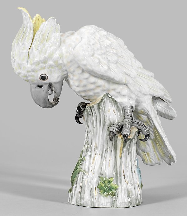 Great Cockatoo
