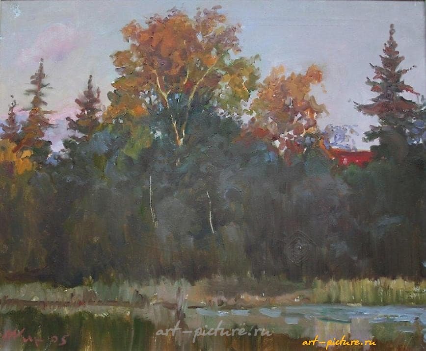 Луч закатный. Холст, масло. 50 х 60 см