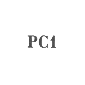 Ленинградский завод "Русские самоцветы" - "РС1" - 1961