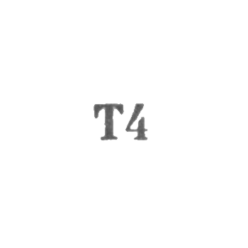 Промкомбинат "Эду" г. Тарту - "Т4" - 1964
