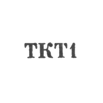 Ювелирная мастерская Выруского промкомбината "Тамула" - "ТКТ1" - 1961